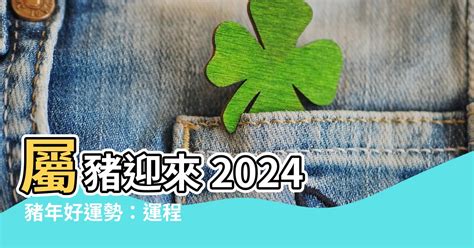 屬豬財位|【屬豬2024生肖運勢】暗湧頻生，運勢反覆｜屬豬運 